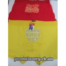 Труси чол. ДВОЙКА приколи L боксер (шорти) Набір 2 шт