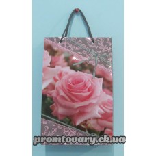 Сумка д/подарунків.вертик. 260*160*70 /шт 