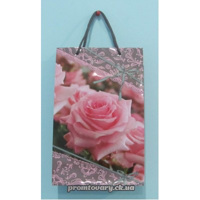 Сумка д/подарунків.вертик. 260*160*70 /шт 