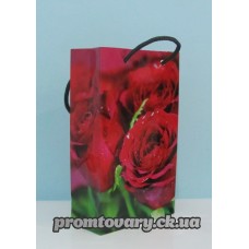 Сумка д/подарунків.вертик. 17*10*5см /шт 