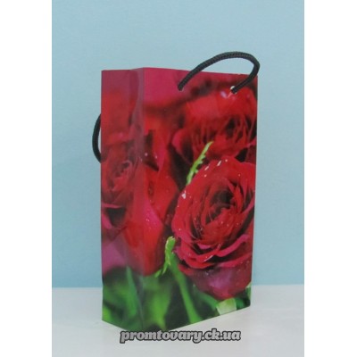 Сумка д/подарунків.вертик. 17*10*5см /шт 