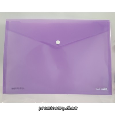 Папка пластик кнопка Economix 38301/31301 А4 прозора, /шт