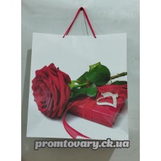Сумка д/подарунків.вертик.гігант 50*47*19см /шт 