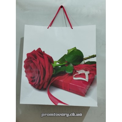 Сумка д/подарунків.вертик.гігант 50*47*19см /шт 