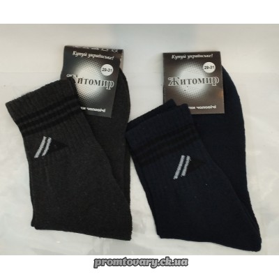 Носки чол.зима Житомир бавовна 40-45 махрова стопа ПАРА (207)